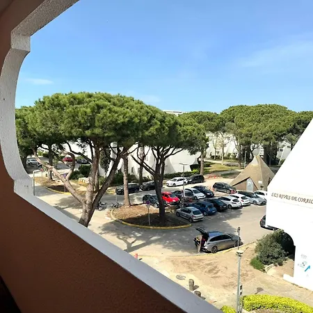Lägenhet T2 Motte Ponant - Draps, Clim, Wifi & Terrasse